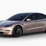 Les nouveaux emballages d'usine Tesla Model 3 et Y ne sont pas vraiment trop chers